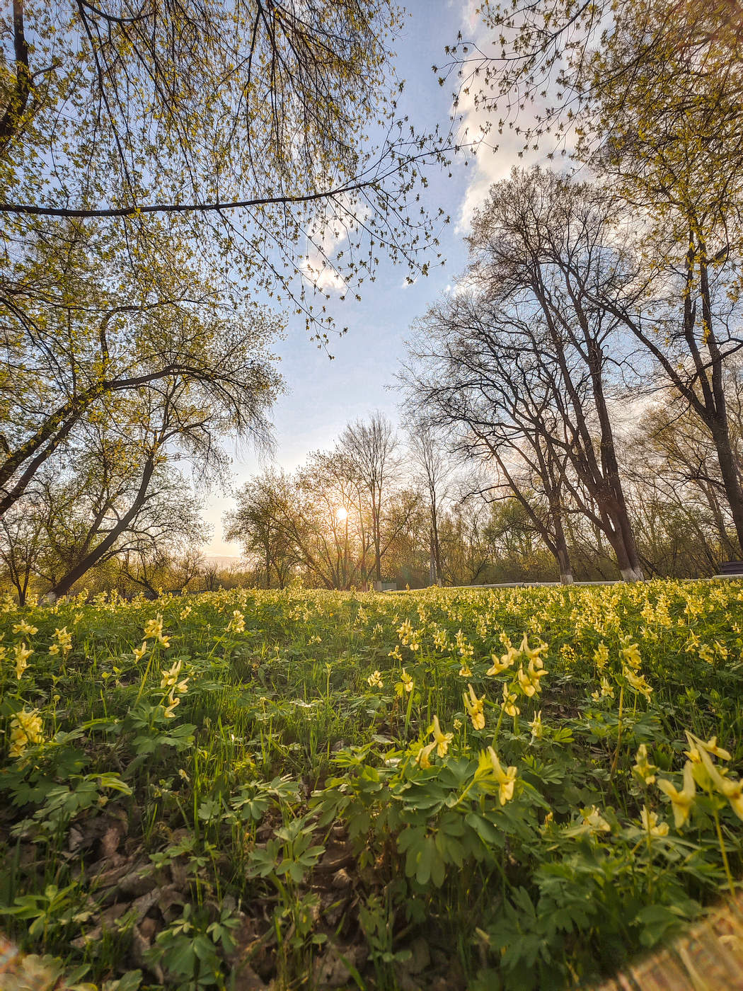велопрогулочное