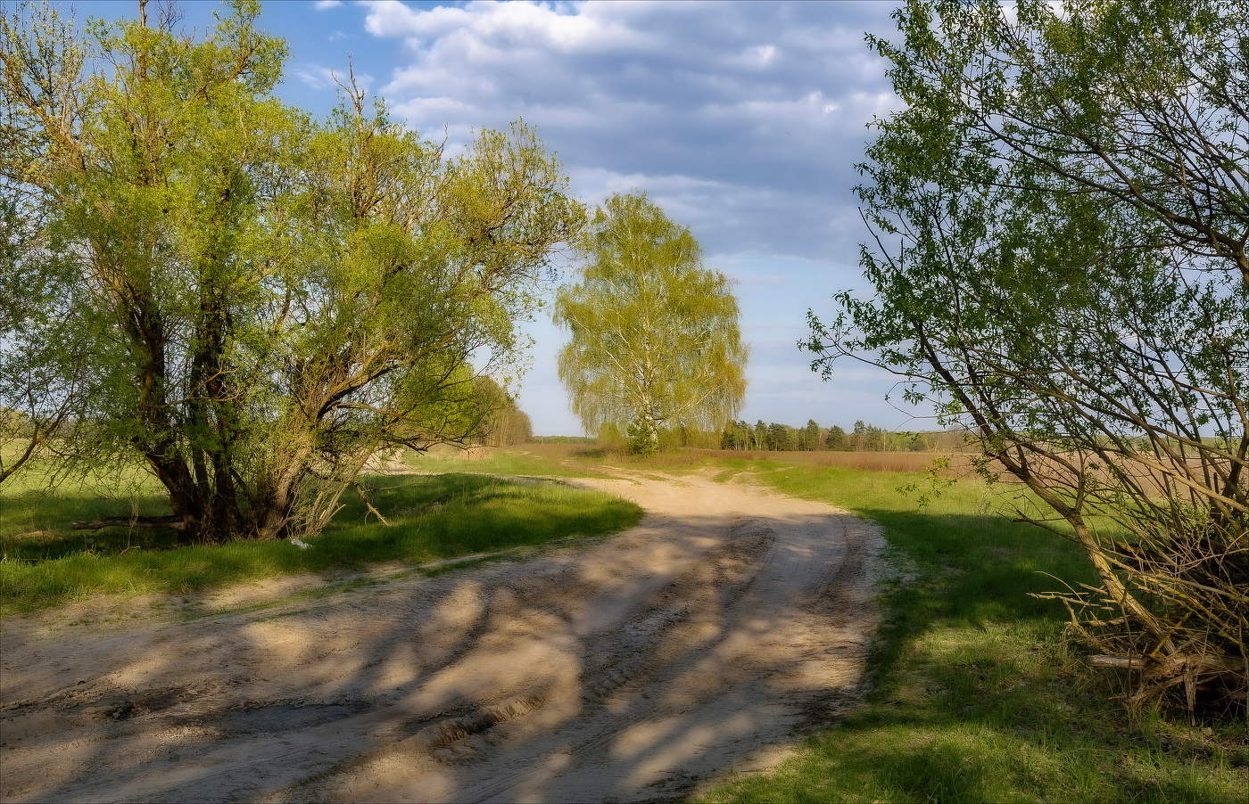 По просёлочной дороге, за околицу в леса...