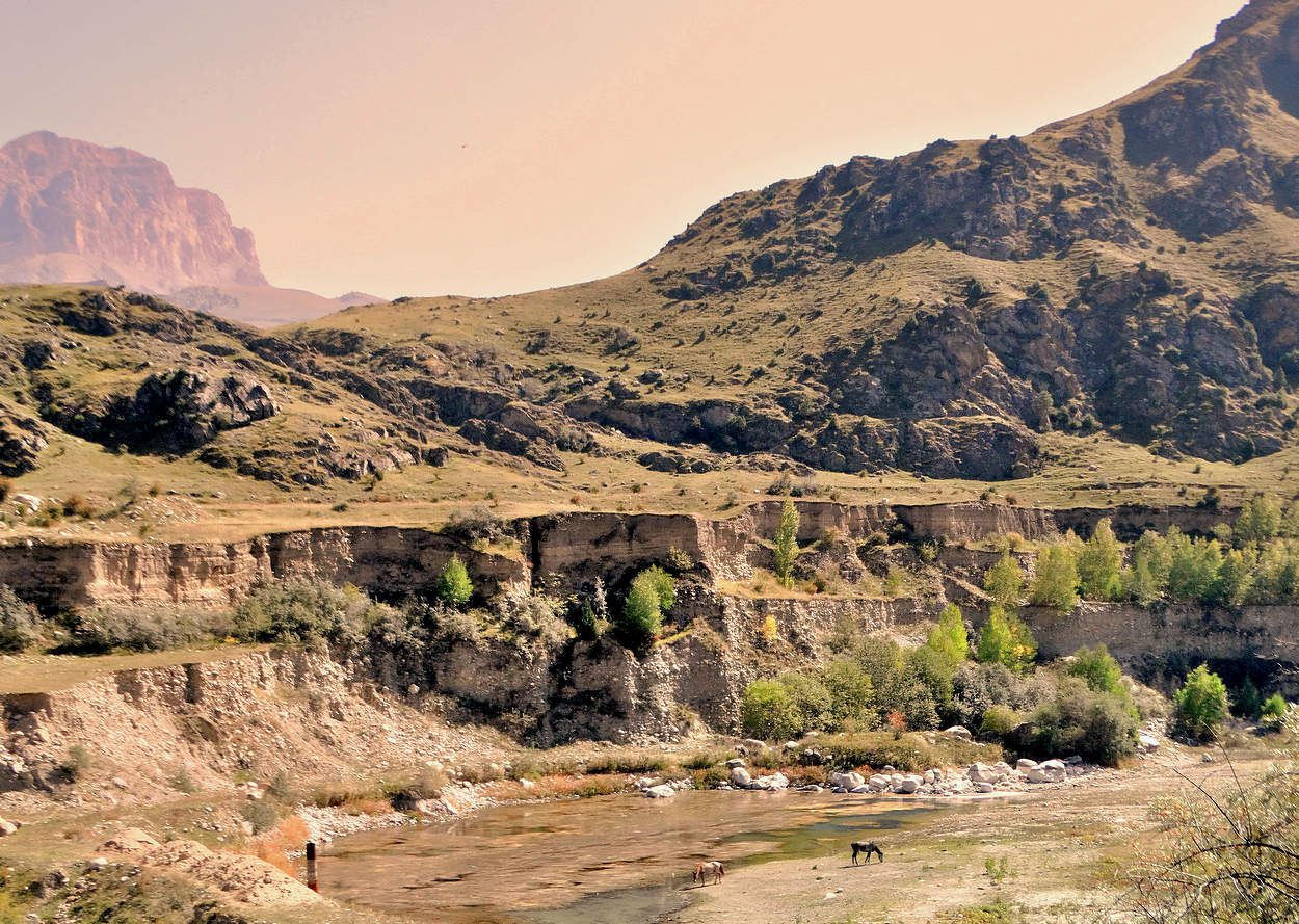 Кони на выпасе в карьере