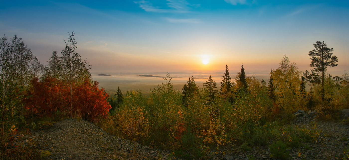 Осеннее утро покрылось туманом