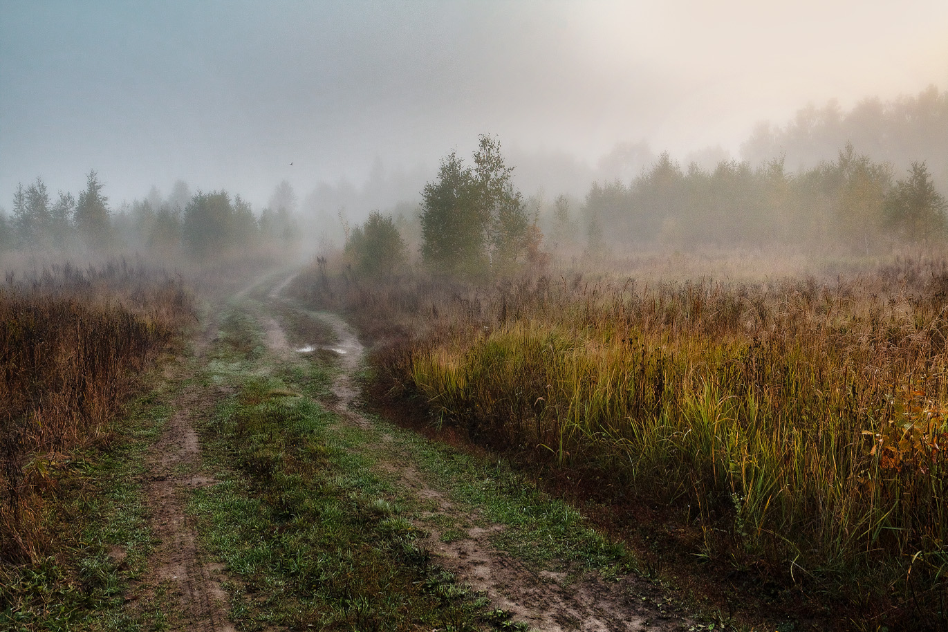 ਸਵੇਰੇ ਧੁੰਦ