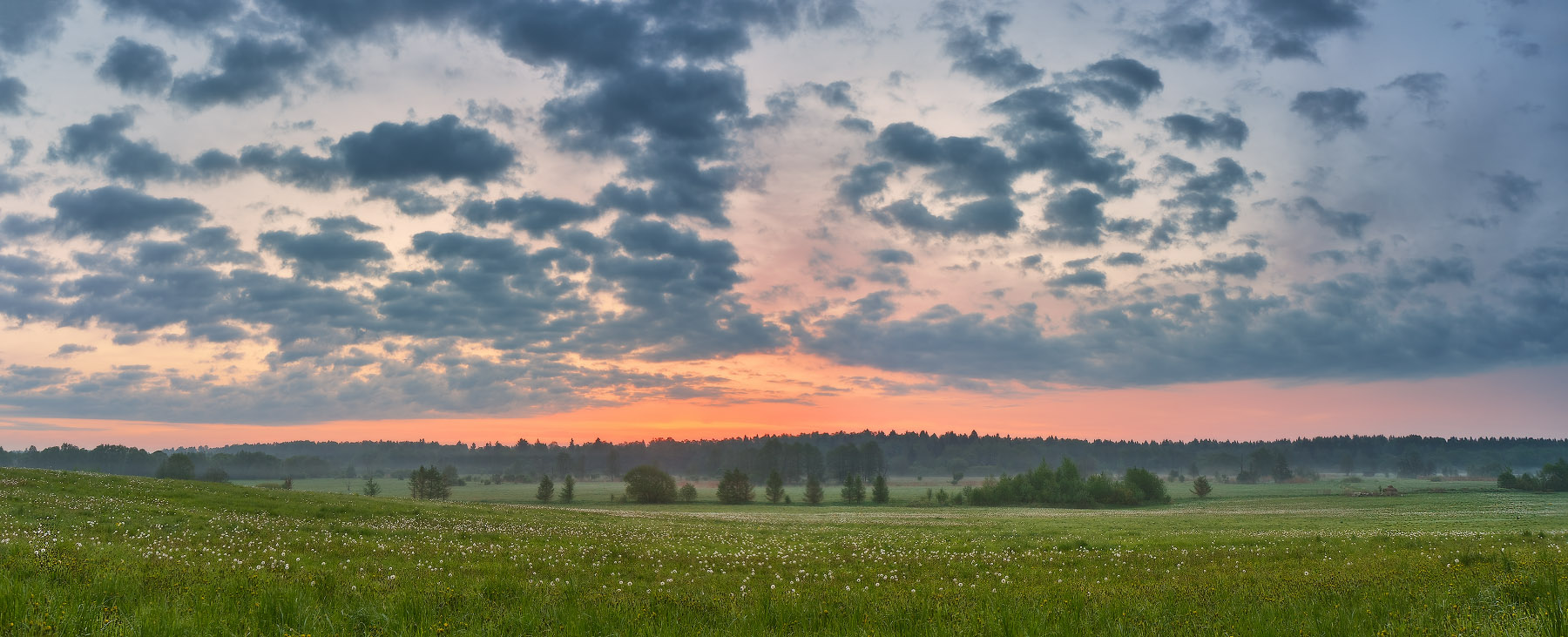 Рассвет над Птичью