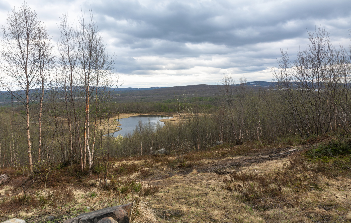весенние дали