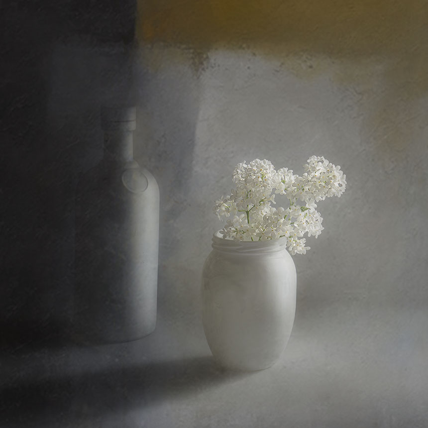 короткий миг сирени