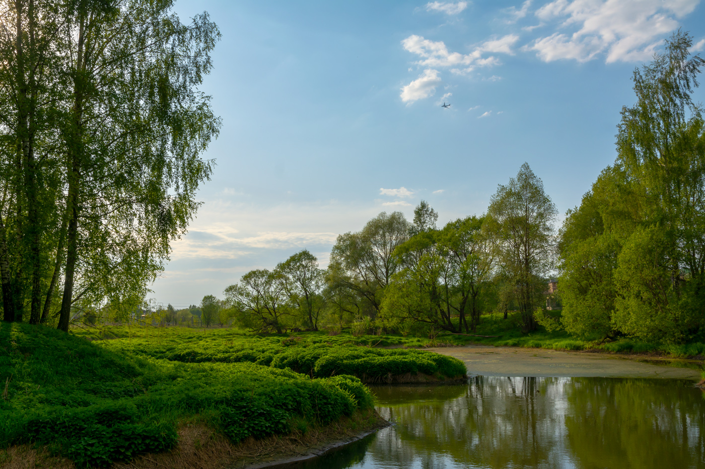 вечерний вечер в Подмосковье