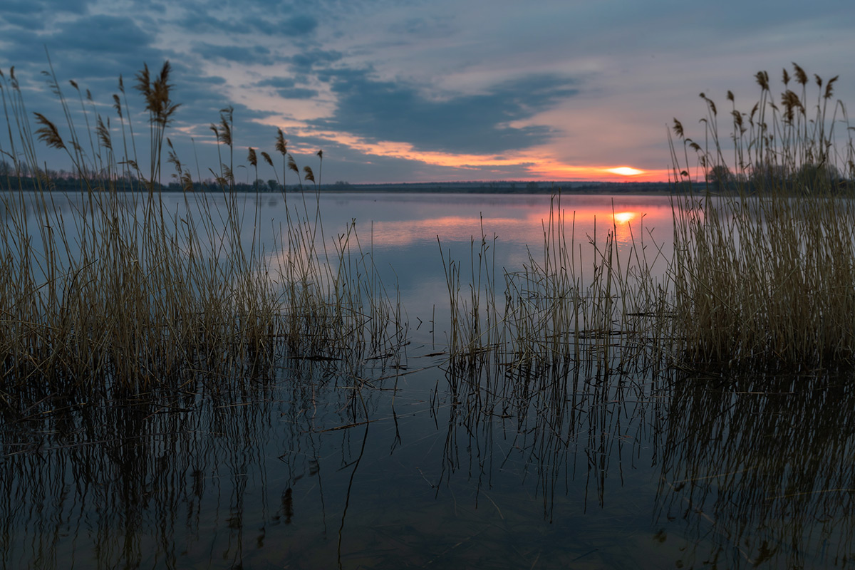 Ветерок на рассвете
