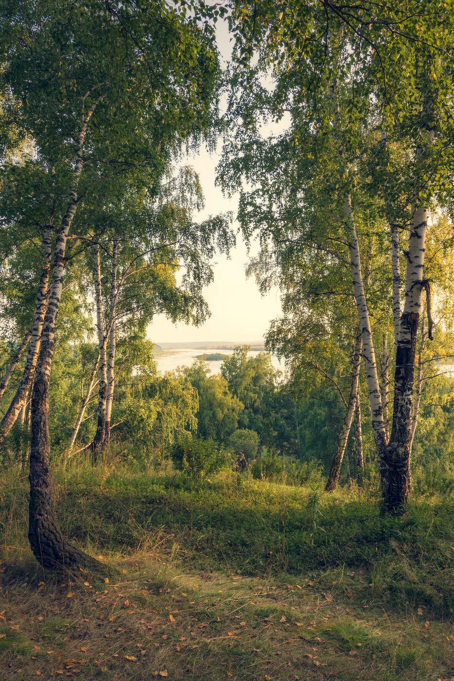 Августовский вечер