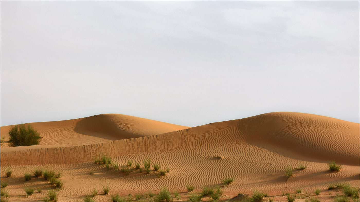 Два холма и кустик...