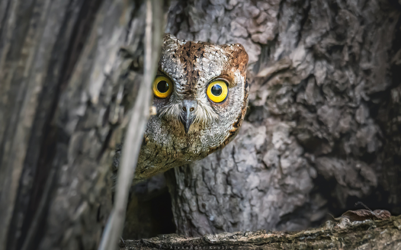 Ты еще здесь?