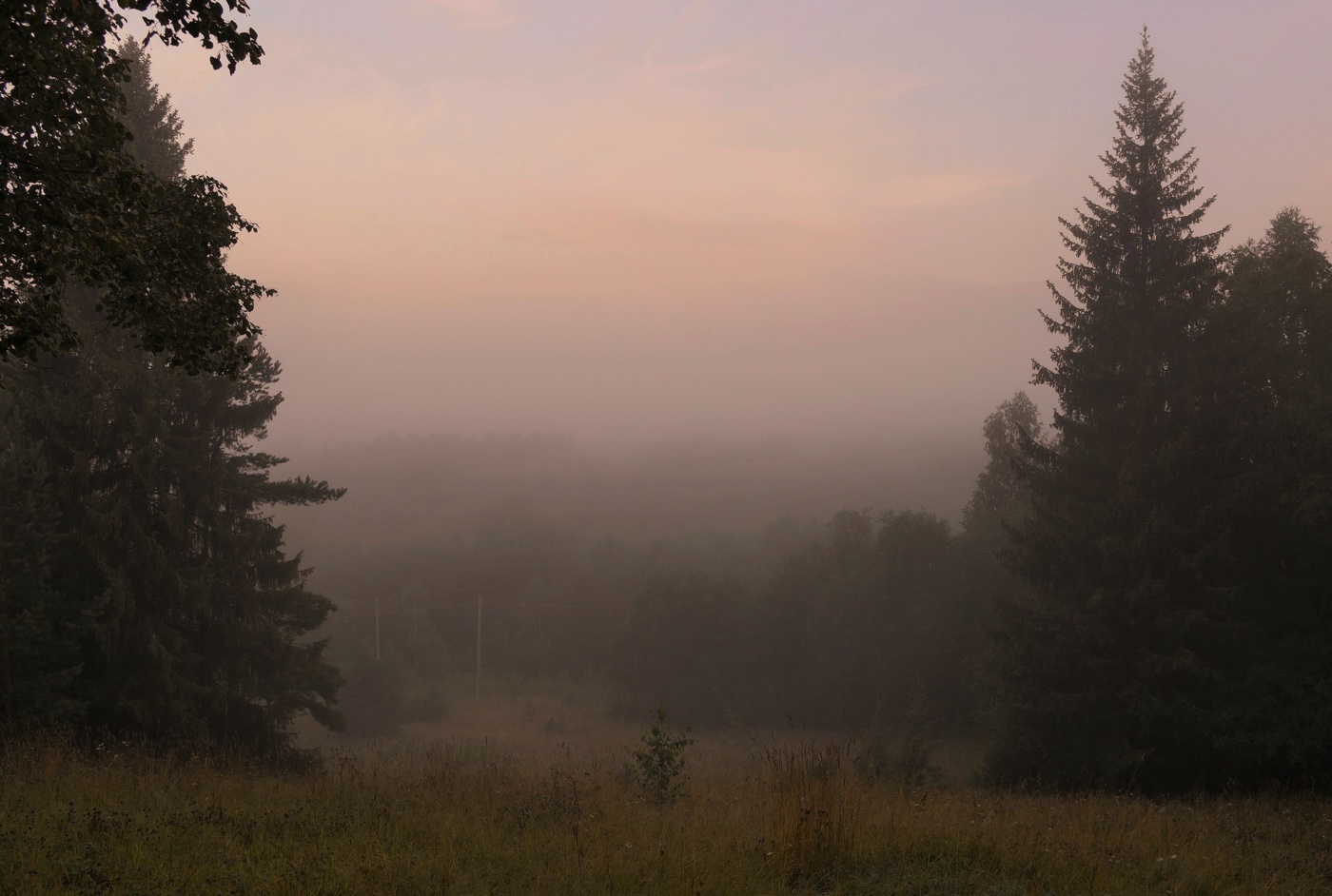 "Я пью тишину у природы в плену ..."