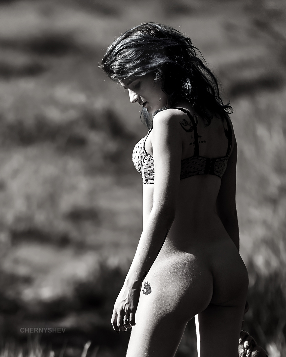 из альбома "логика листьев".