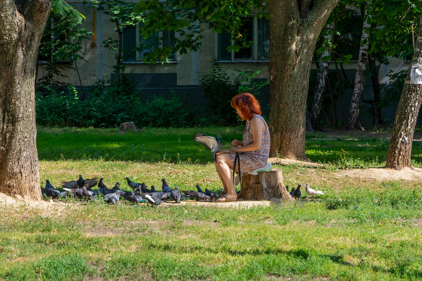 городские зарисовки