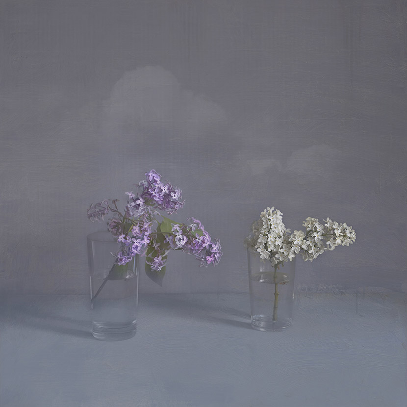 сирень (нежно)