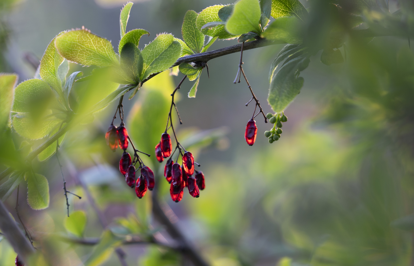 Между прошлым и будущим