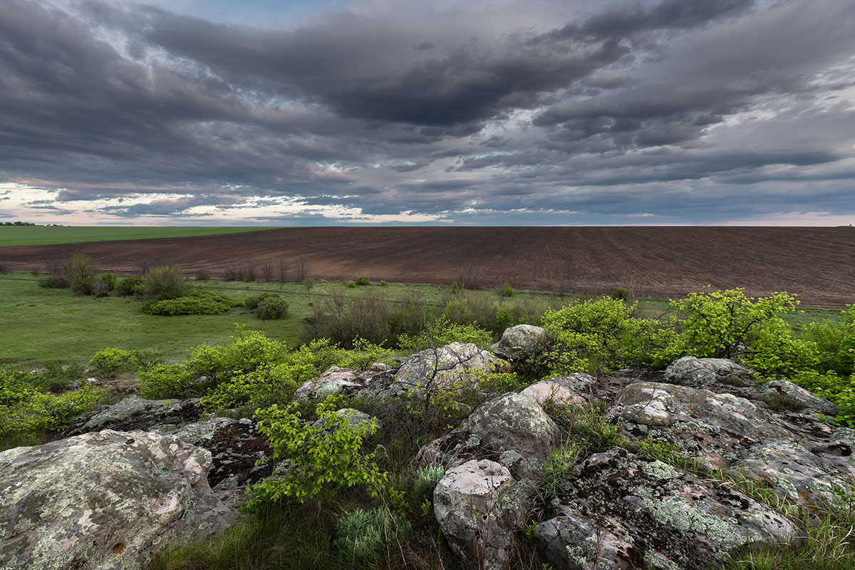 На Синих камнях