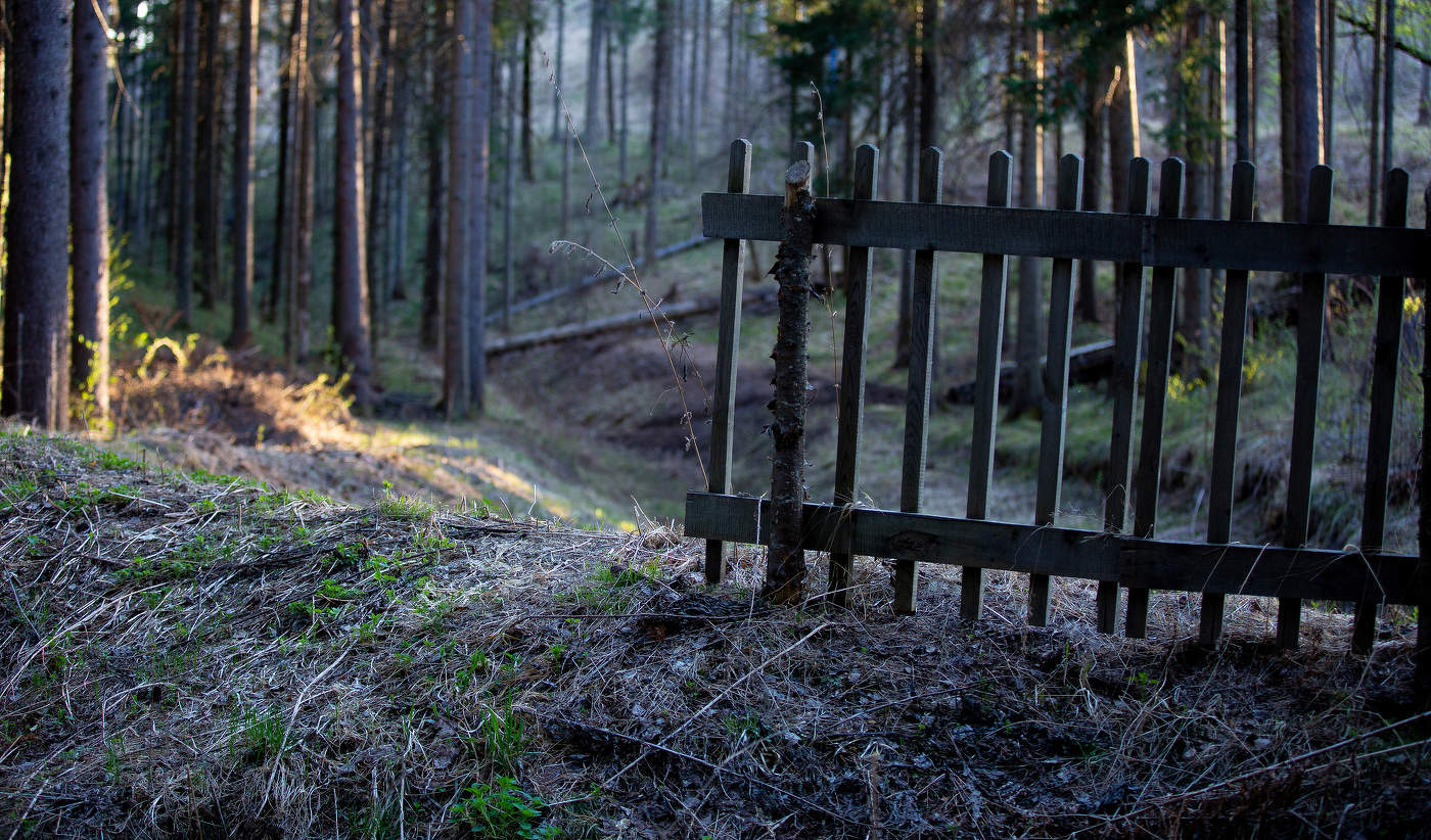 В Алемасова.