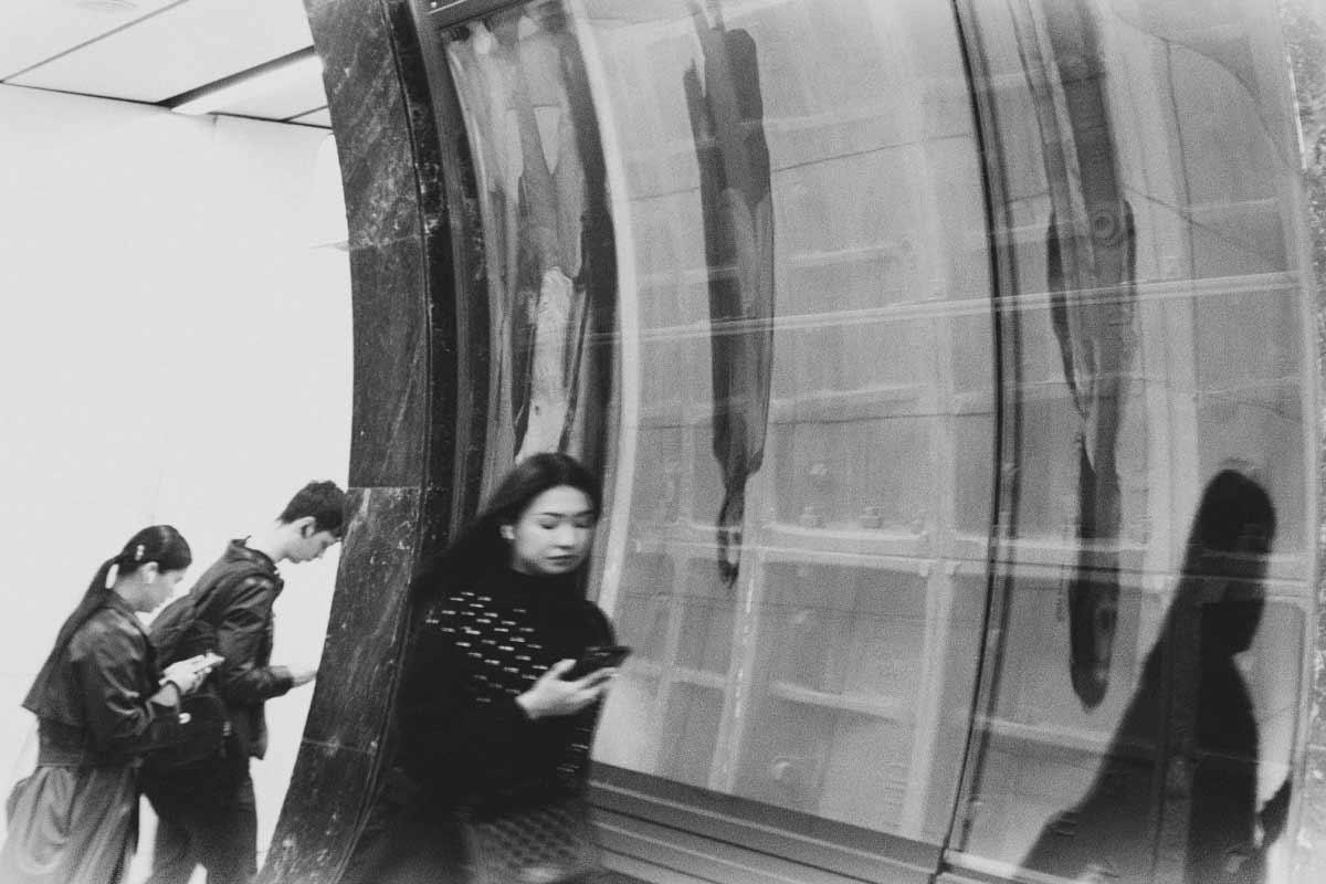 Большая кольцевая