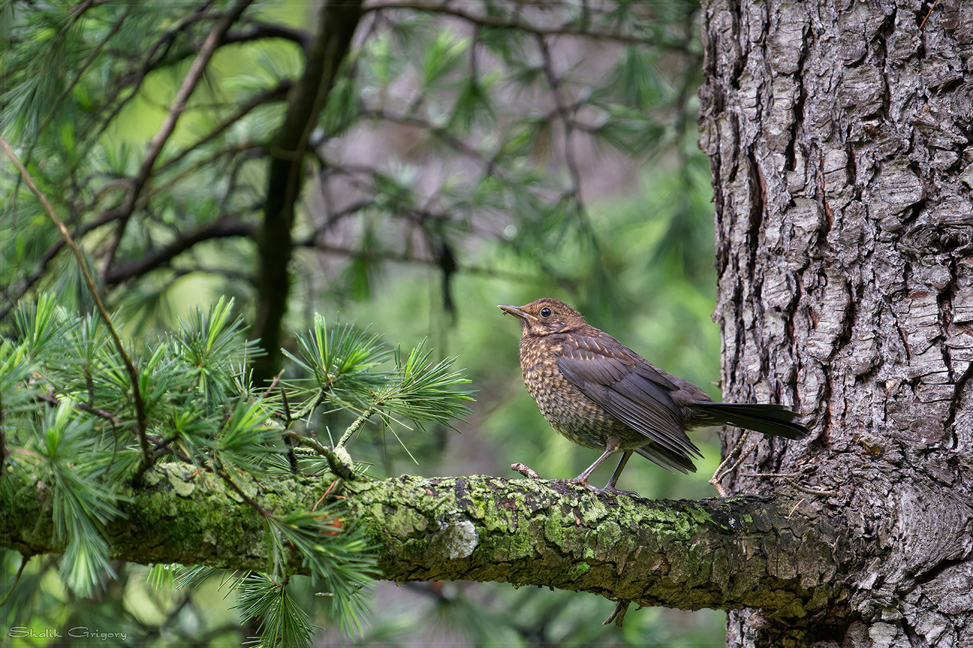 Проснулась...