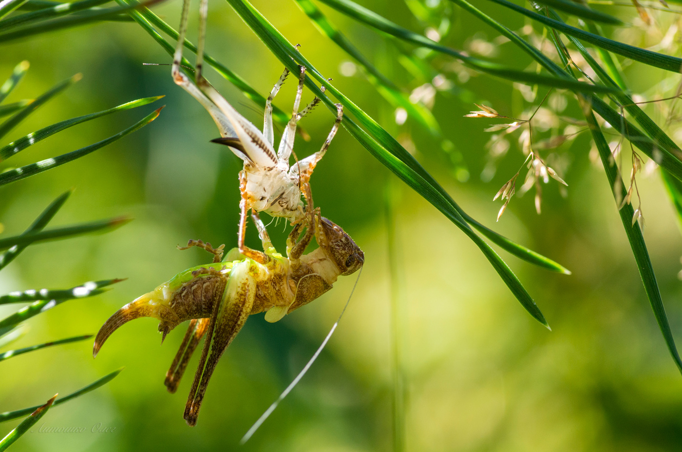 Переодевается...