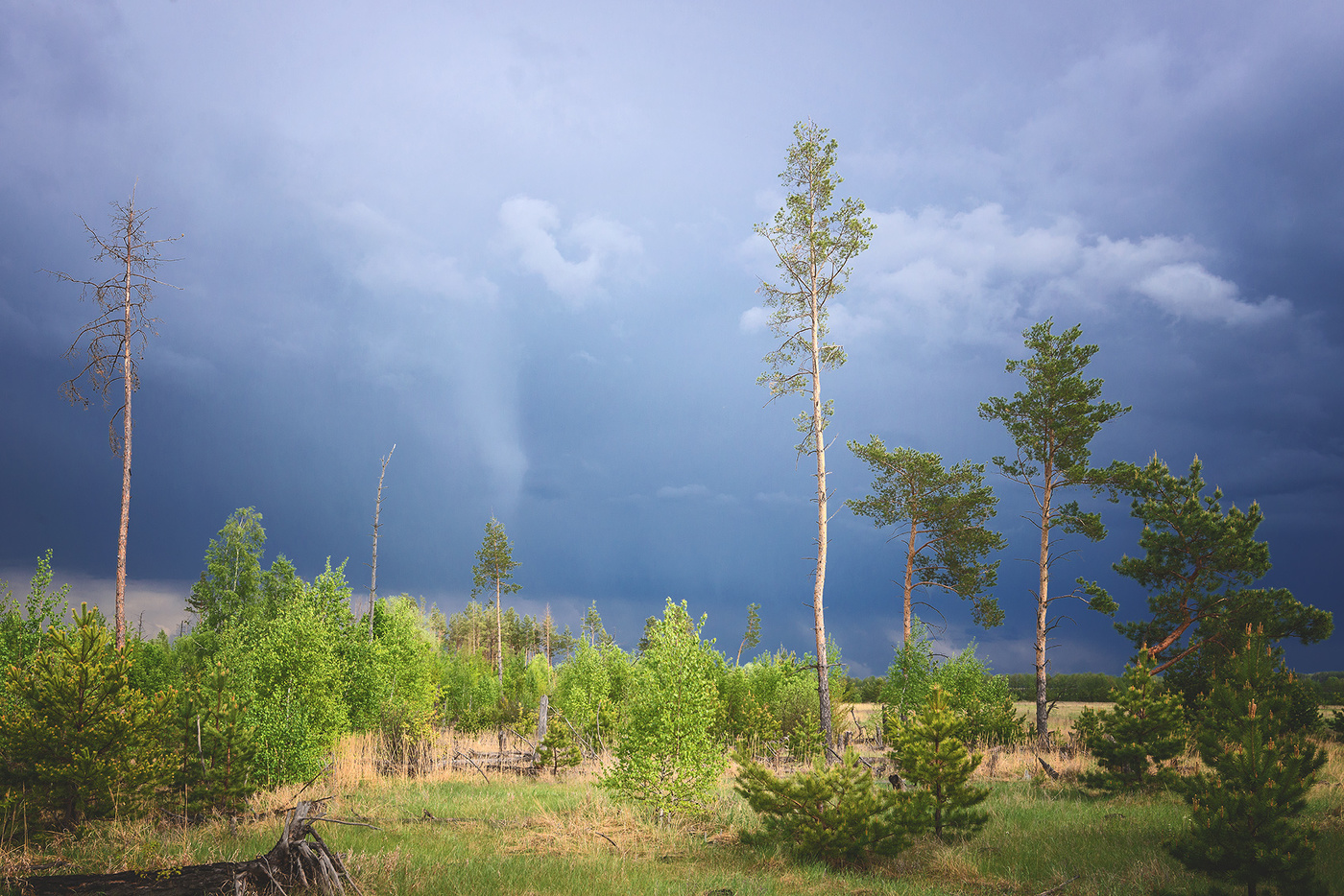 Майские дожди...