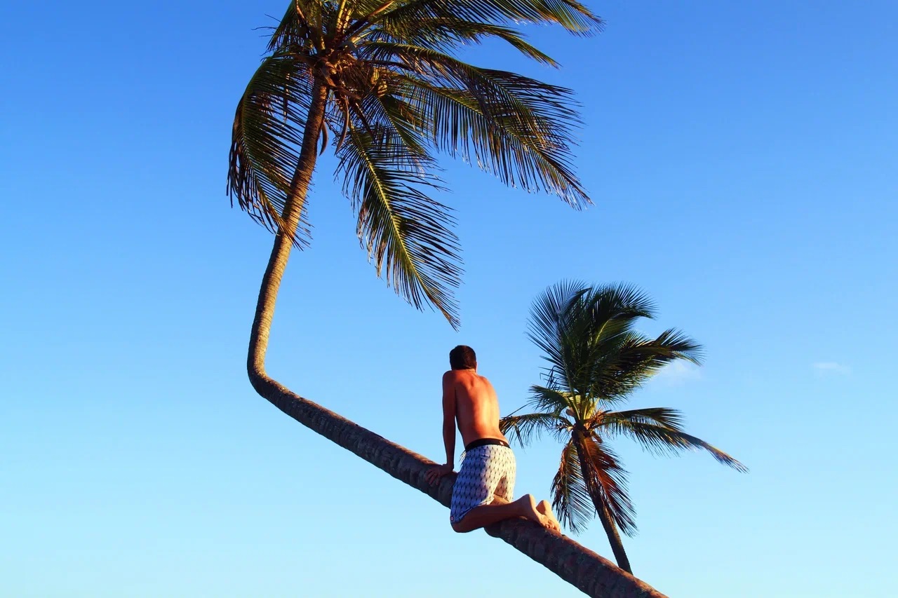 Воспоминания о лете