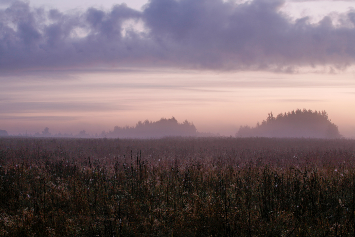 Рассвет в поле