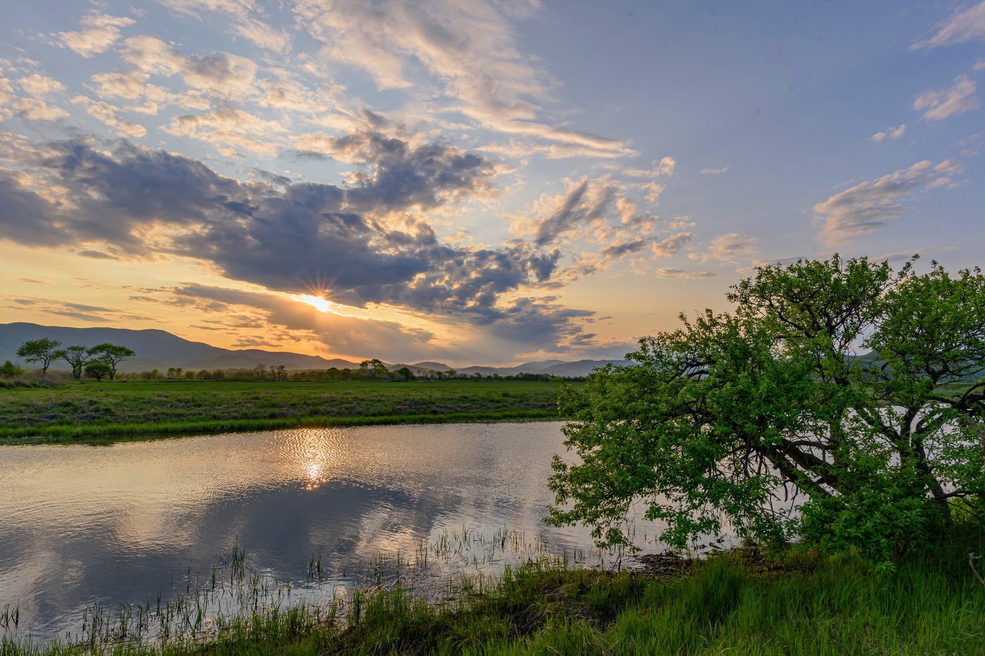 Майский вечер