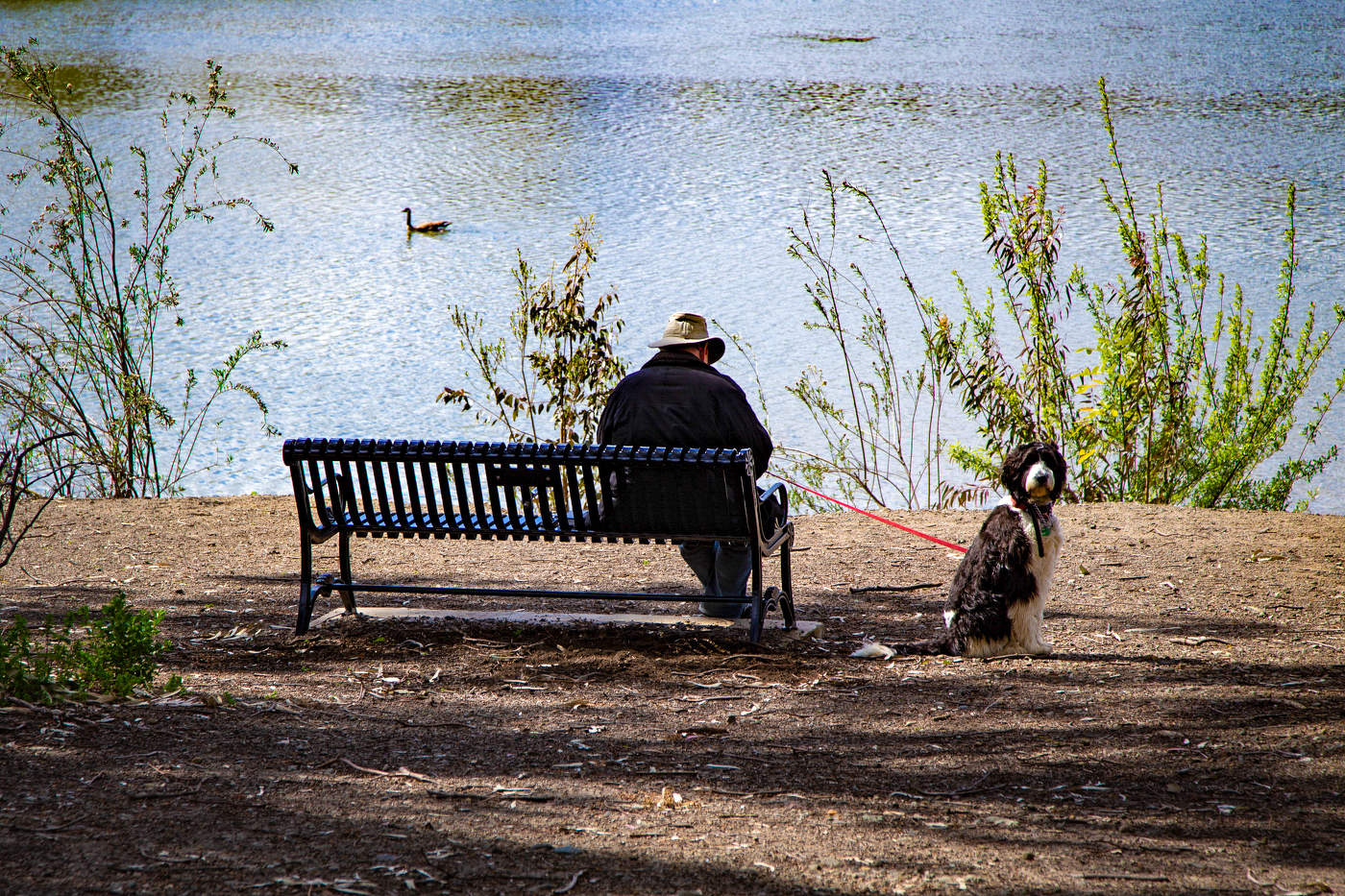Одиночество
