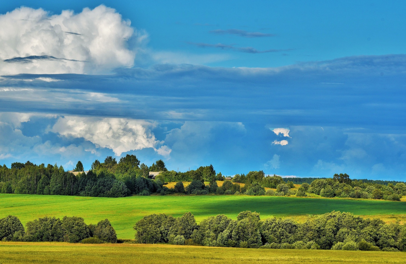 "Глухомань ты моя глухомань! Воздух чистый, полезный, бодрящий..."