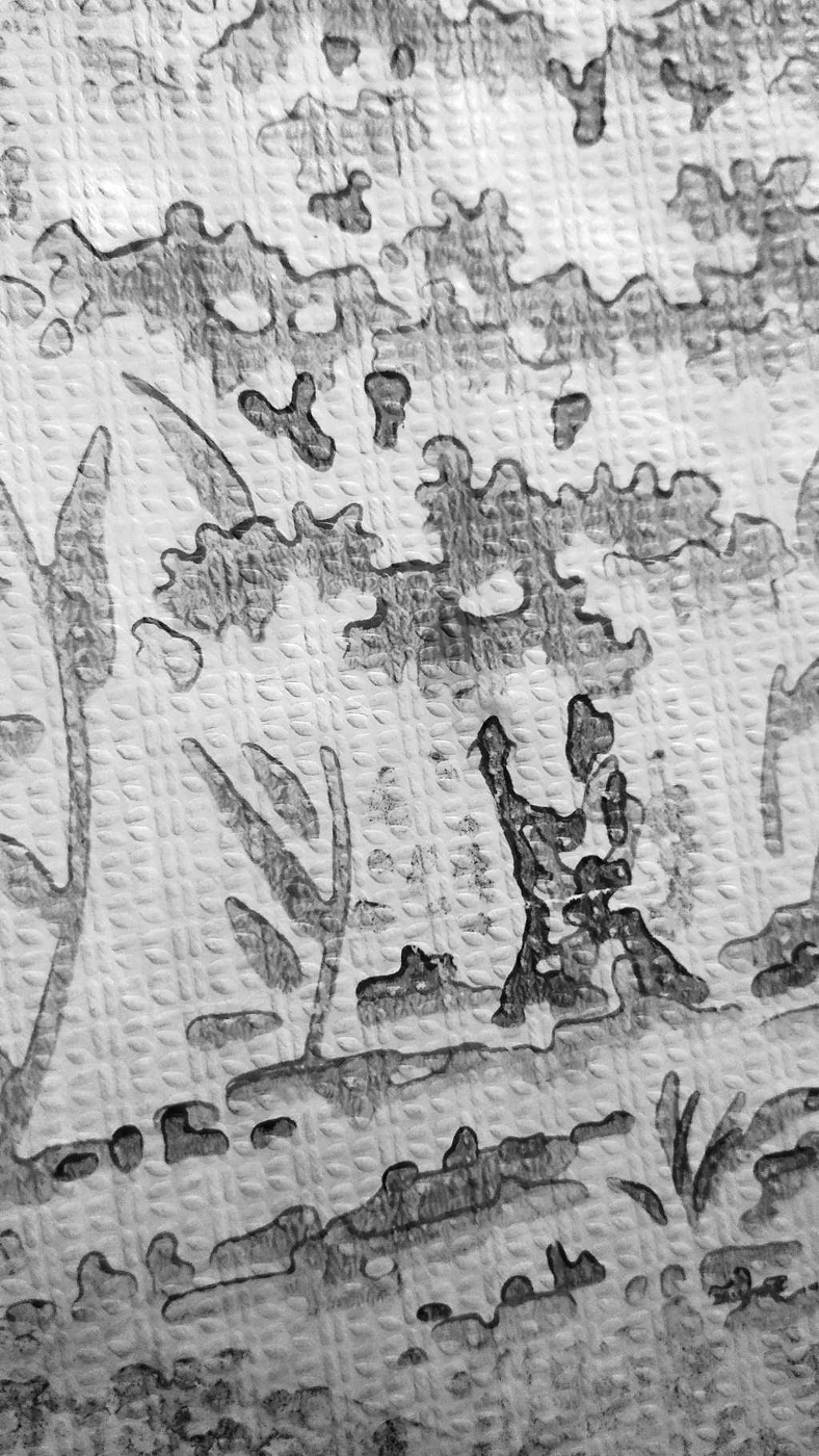 Жизнь вокруг