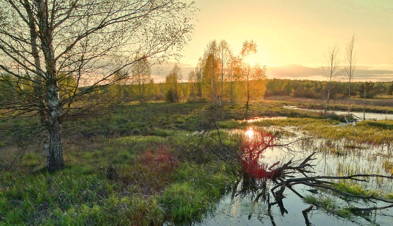 Майский вечер на озёрах в Полесье