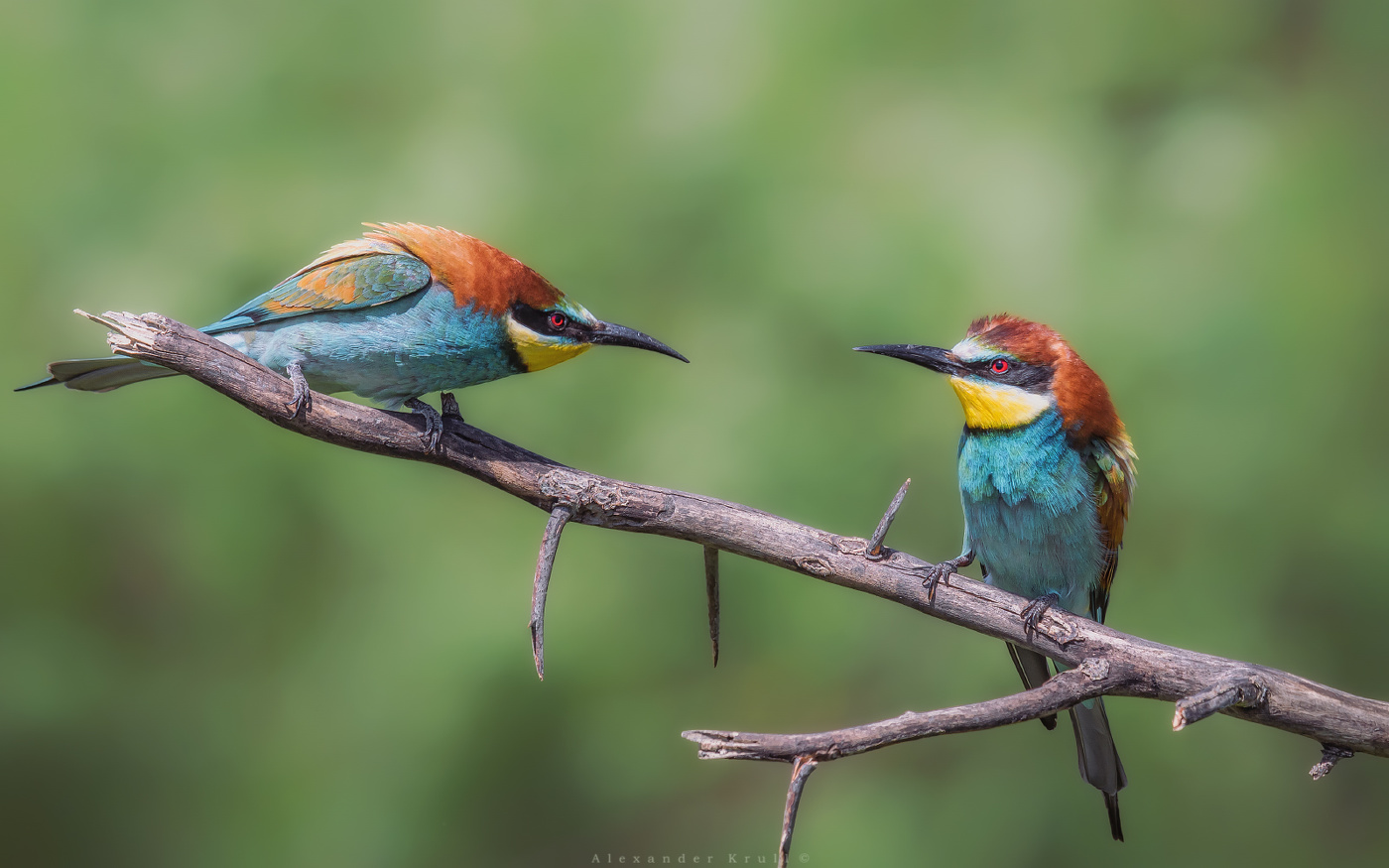 Где деньги, Зин?