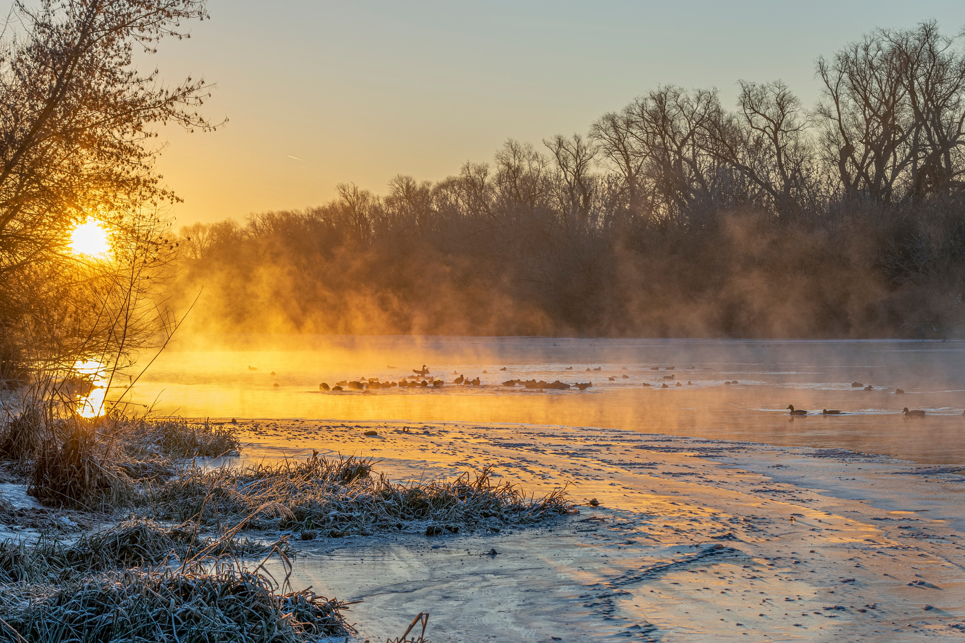утренняя кормёжка
