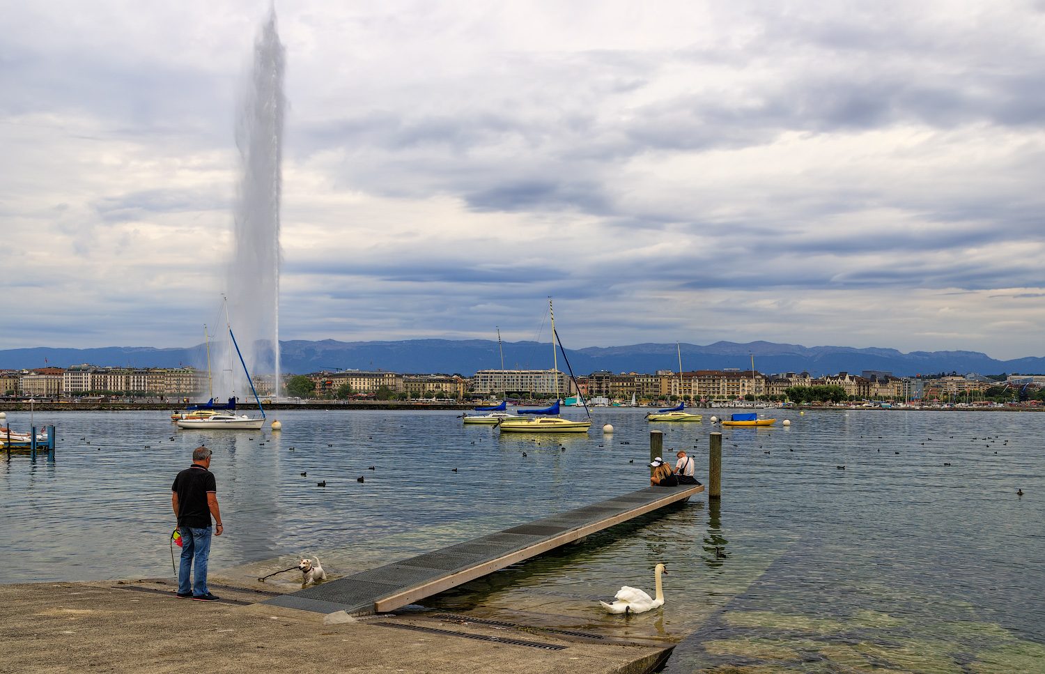 Дождливый день