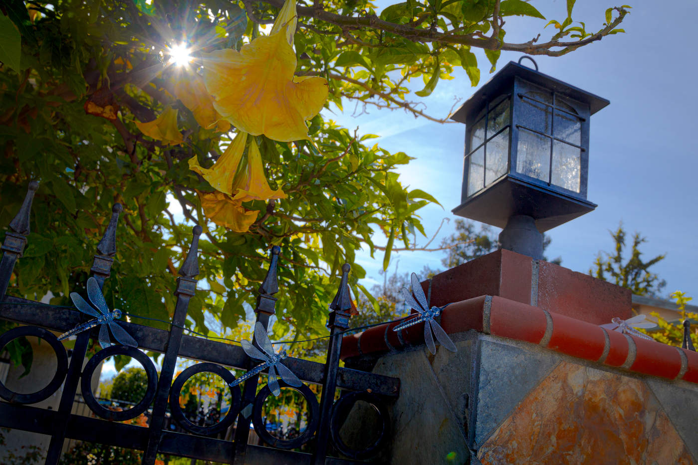 Фонарь и солнце...