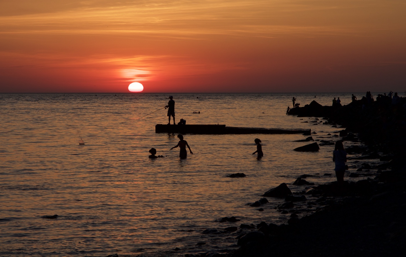 Крокодилы здесь не водятся , не растет кокос ..