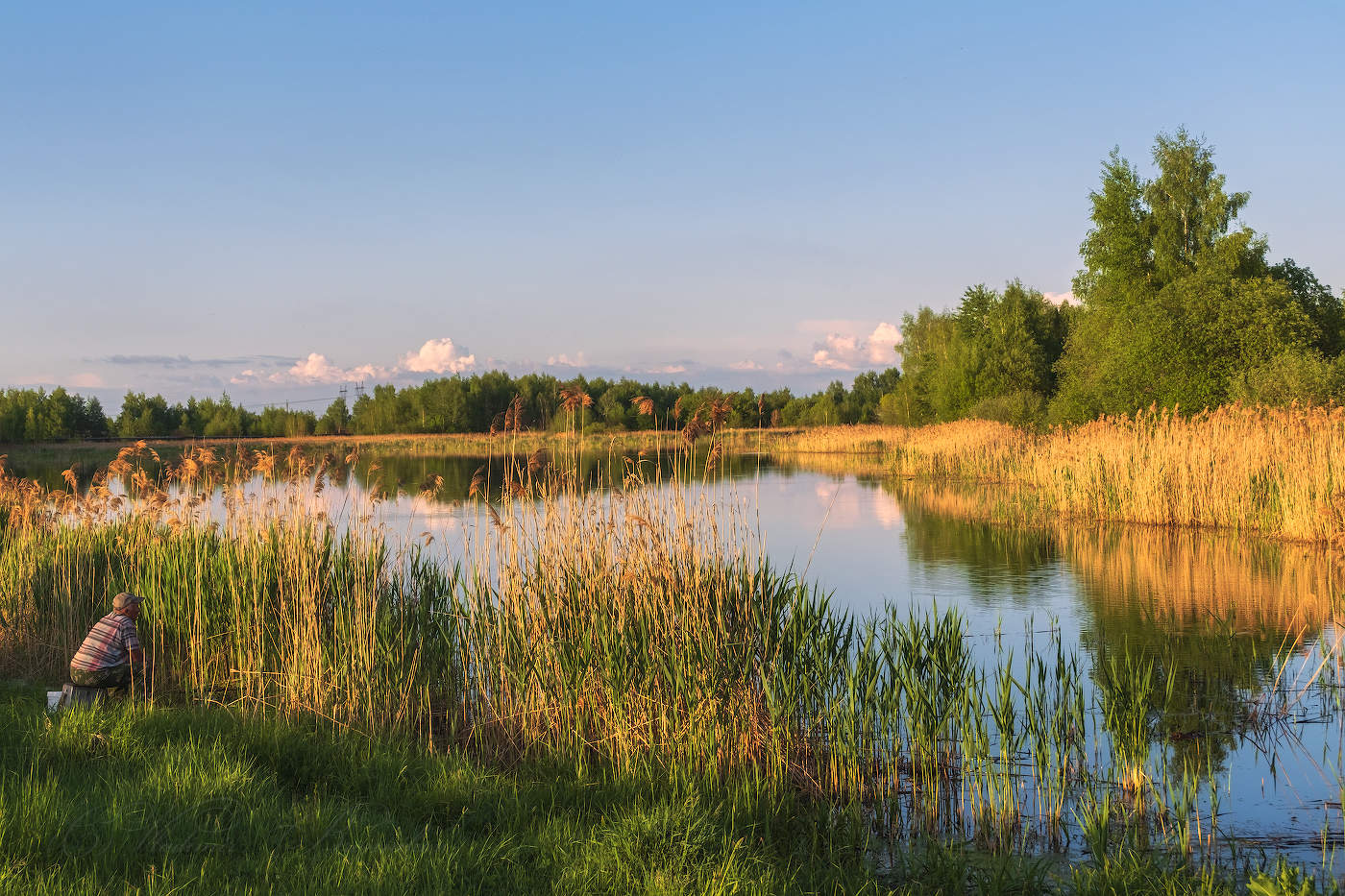 В камышах сижу, на поплавок гляжу