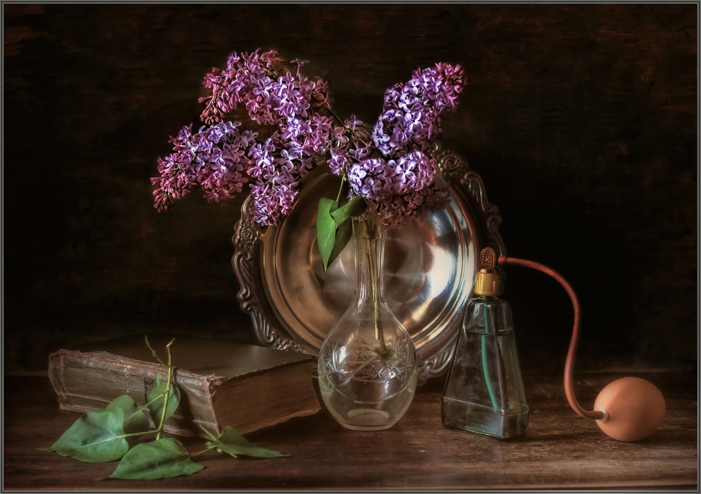 ...... Сирень .....