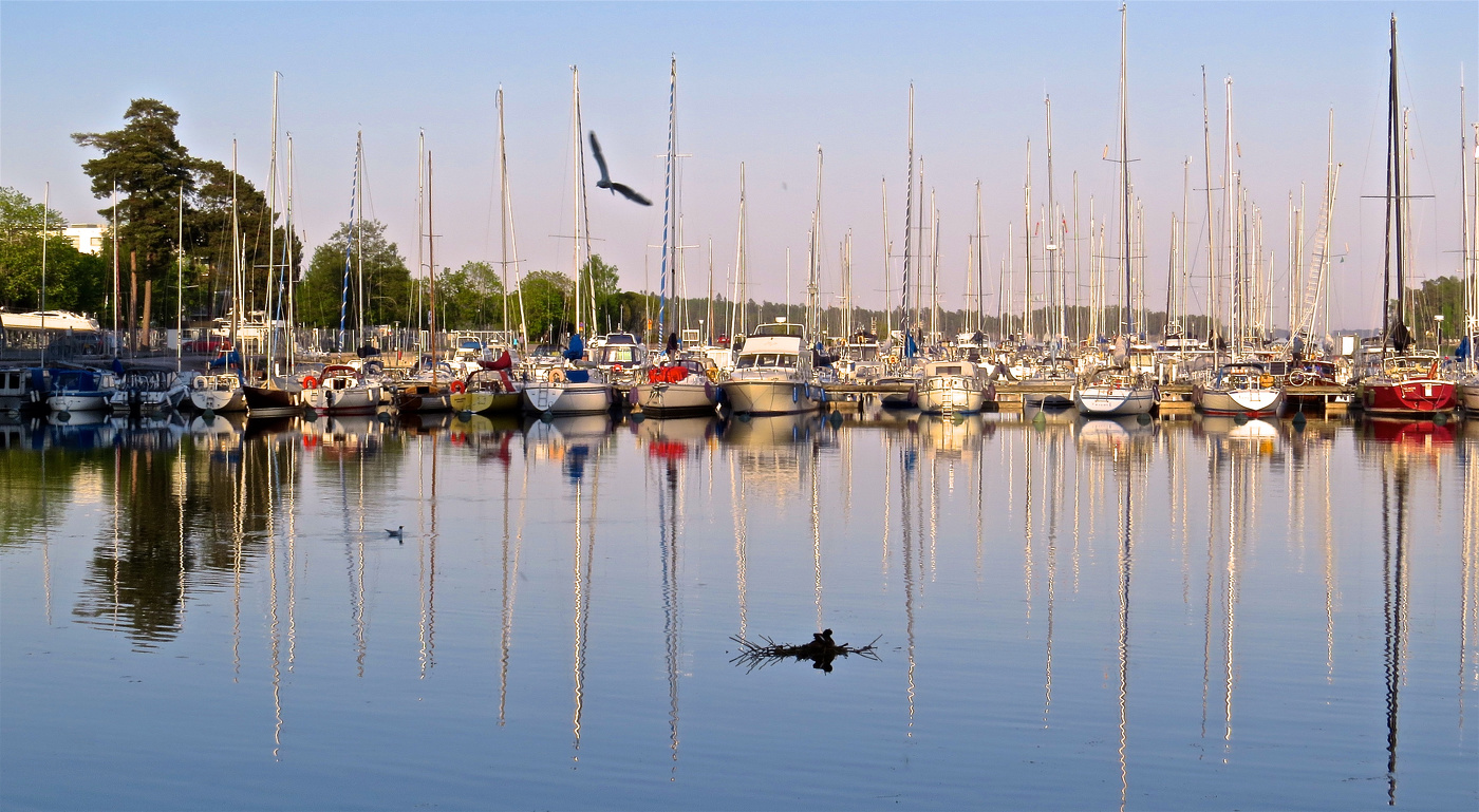 И нет ничего нового под солнцем