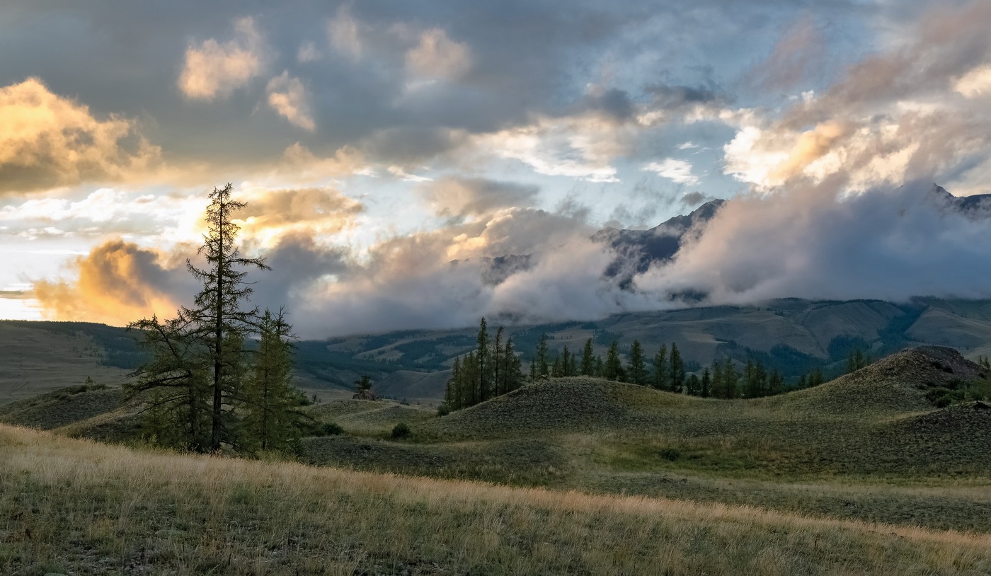 После дождя