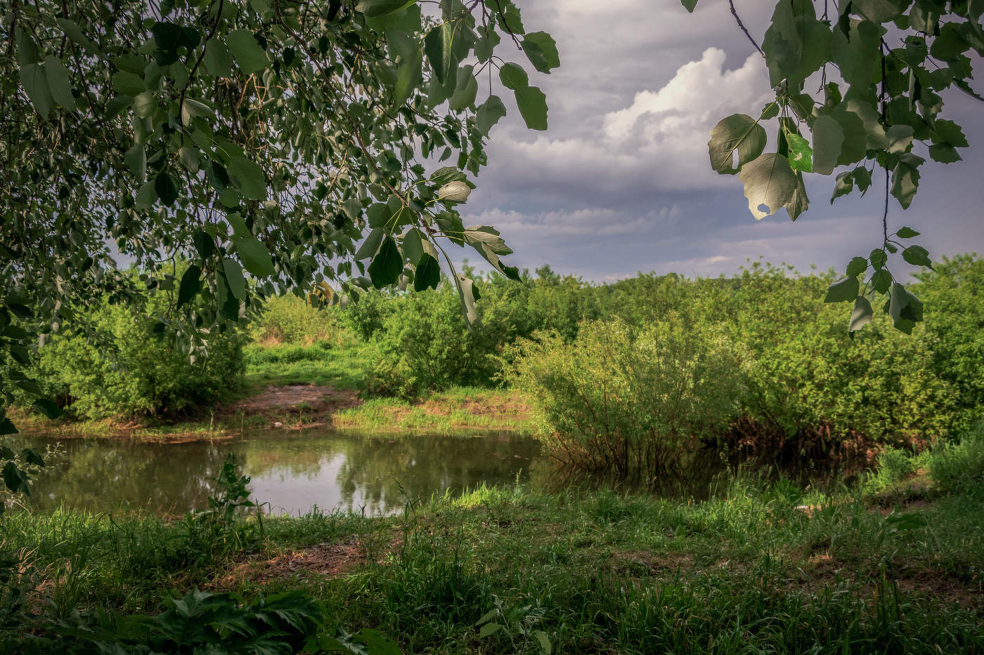 Перед грозой
