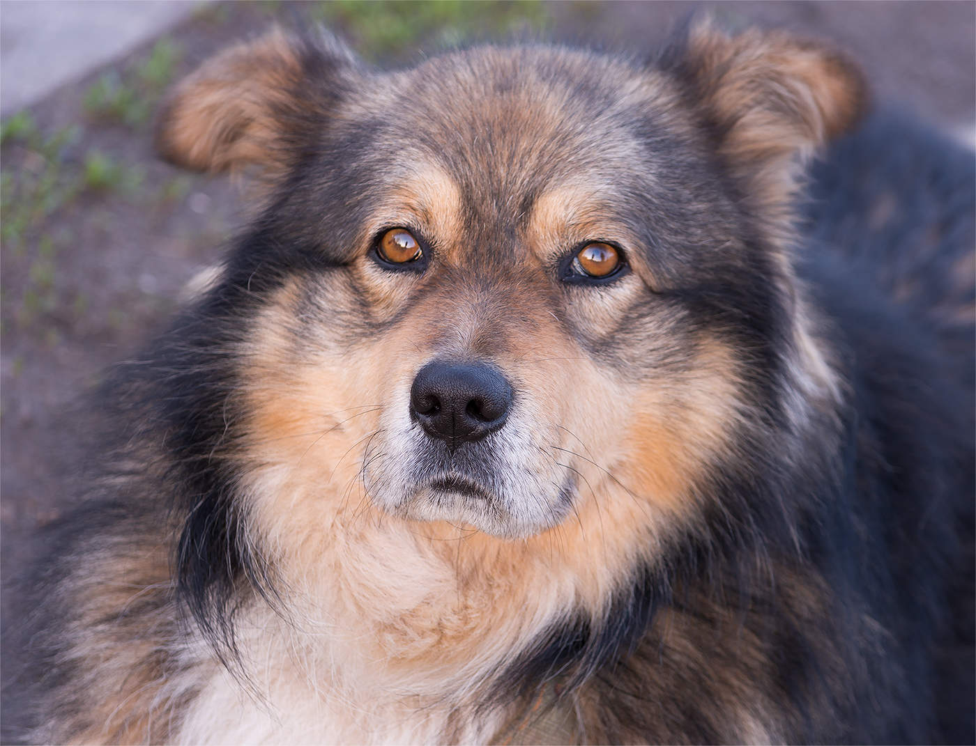 Внимательный взгляд.