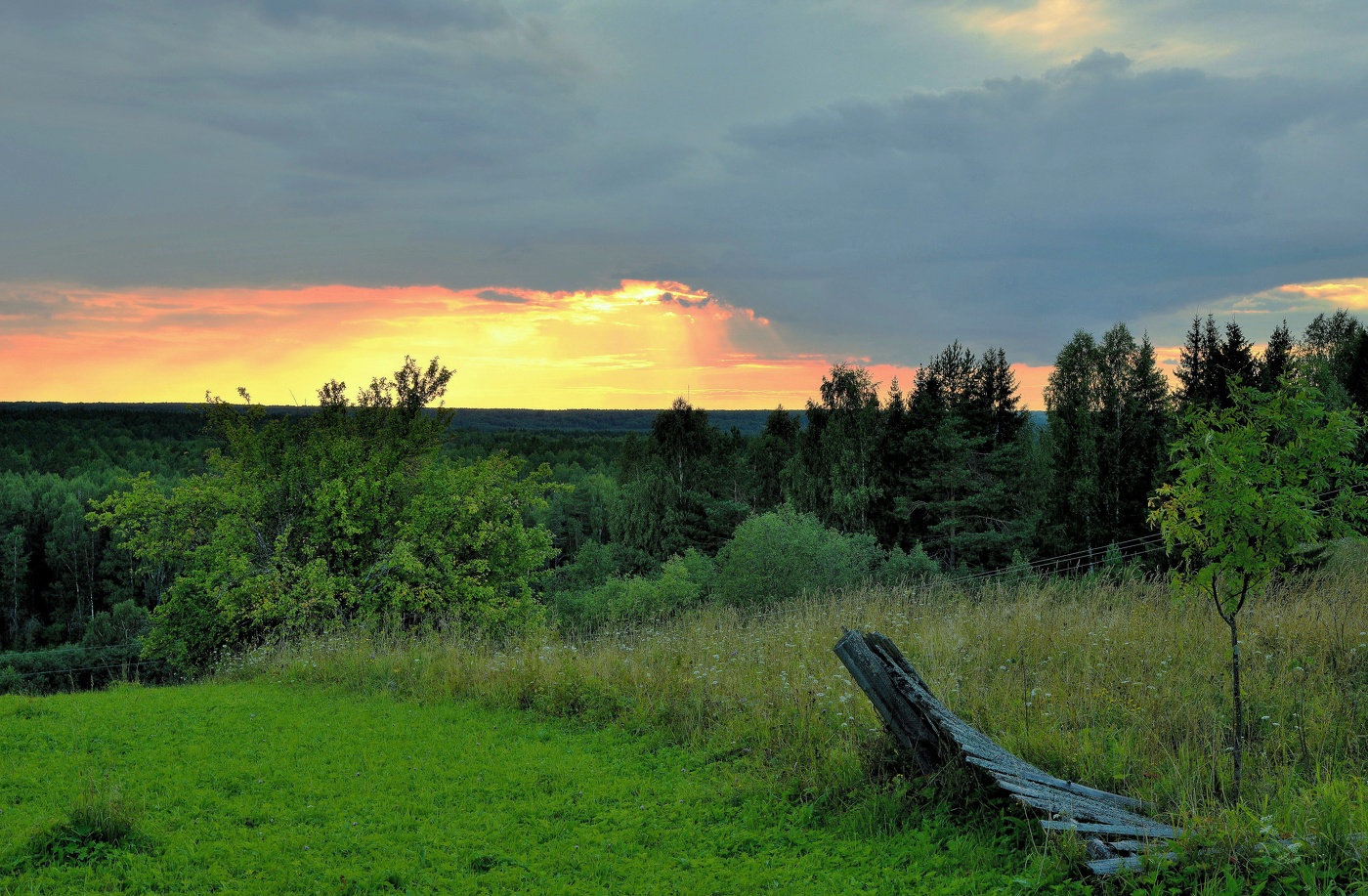"Закат сквозь облако течет туманно-желтый ..."