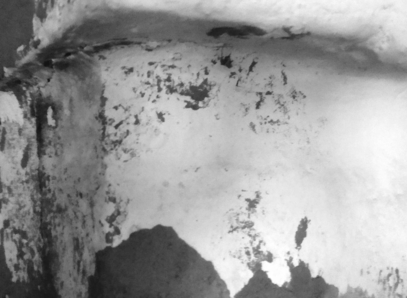 Жизнь вокруг