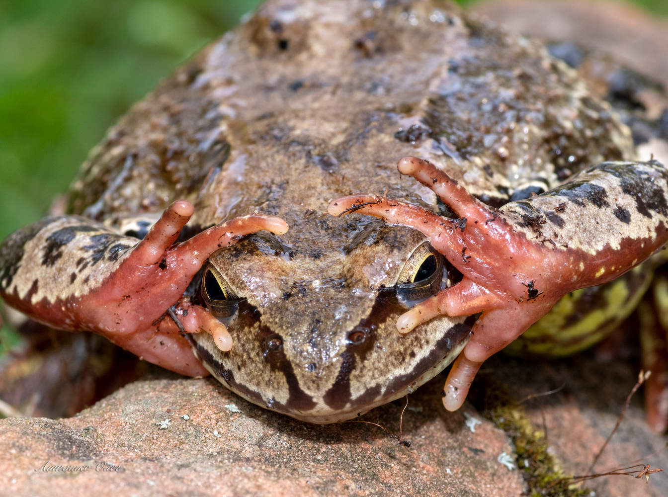 Спать хочется, просто сил нет...