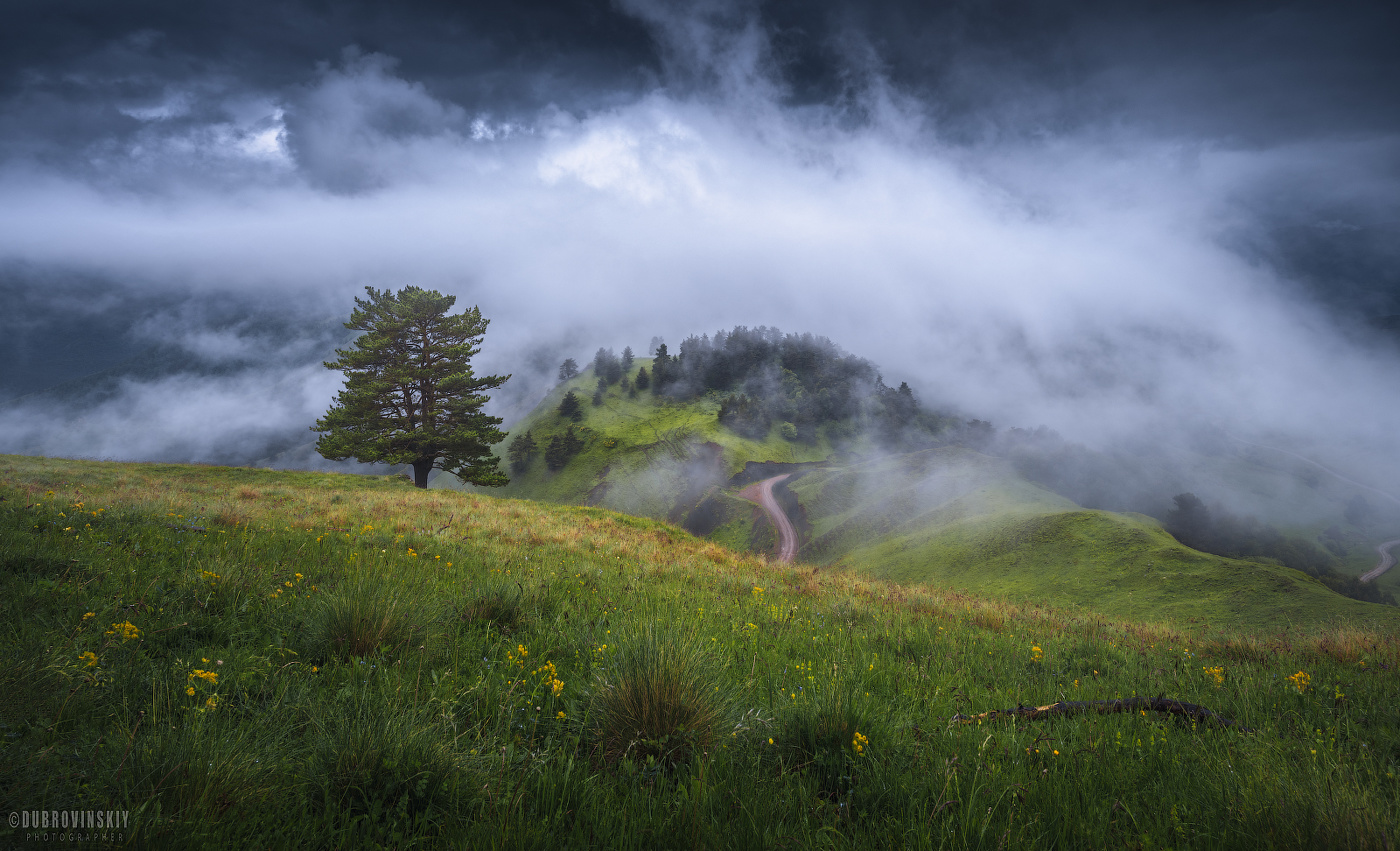 На границе неба