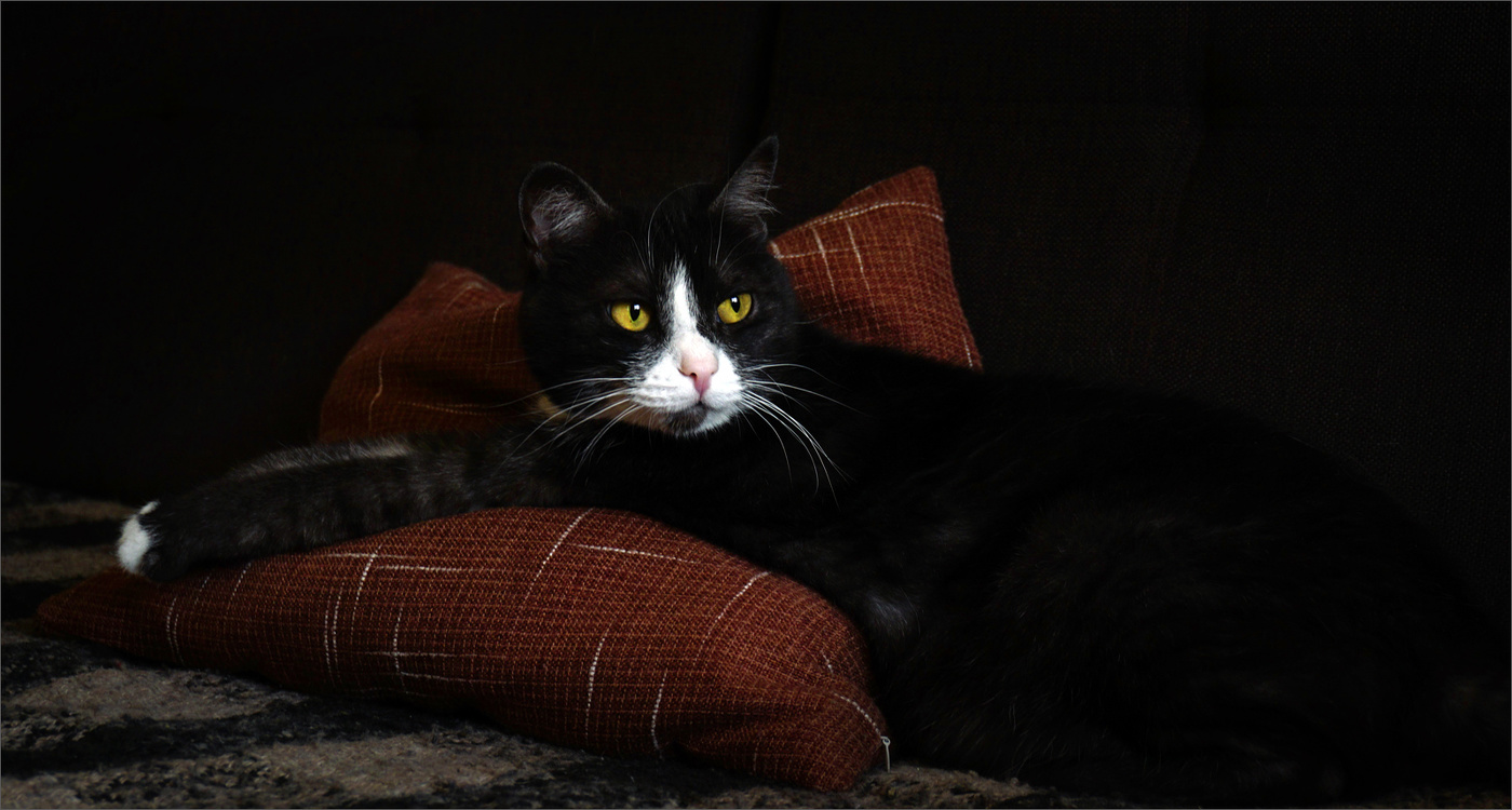 ... отдыхать изволят