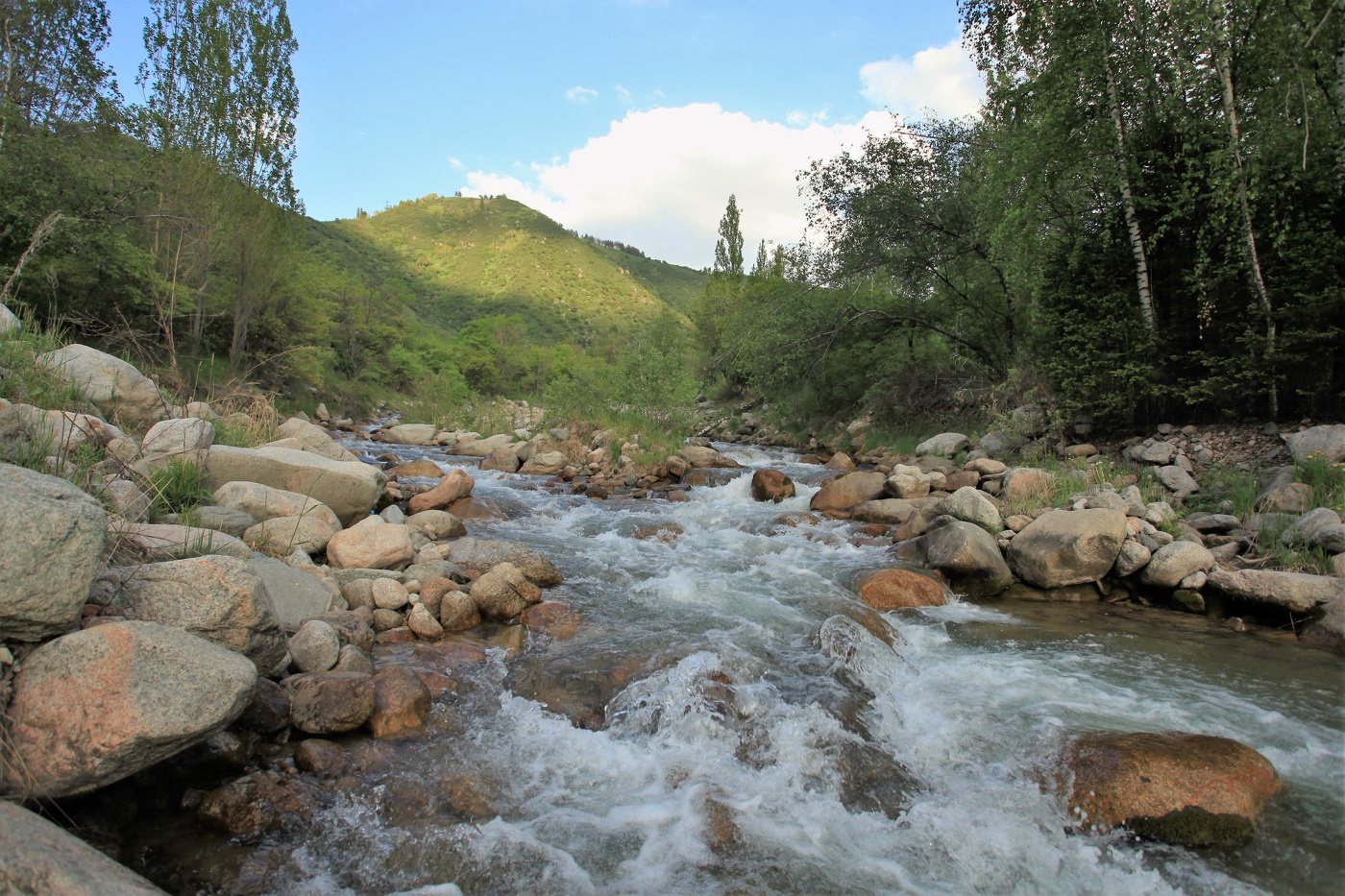 Всё к приходу лета готово...