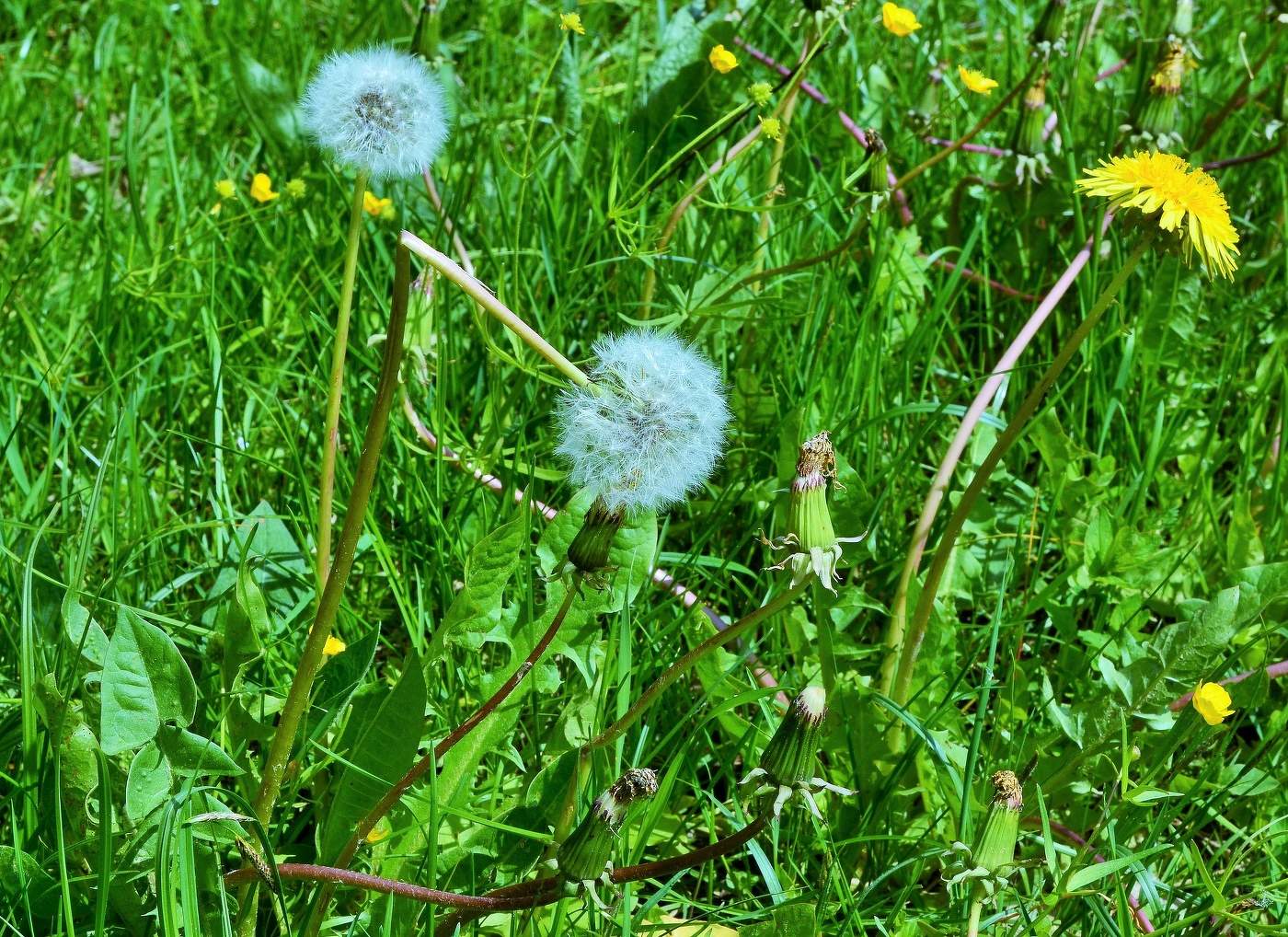 Сломанная жизнь ...