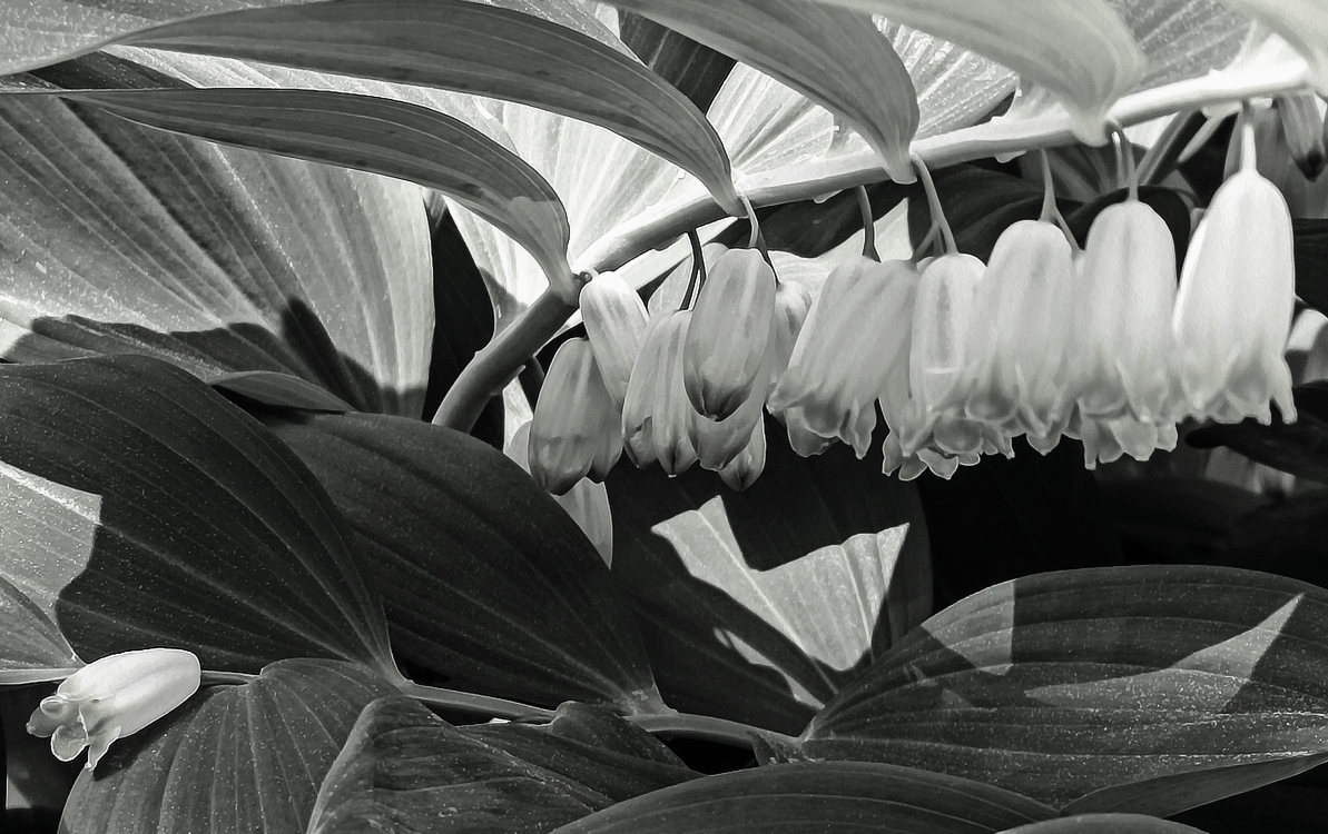 Тихая мелодия...